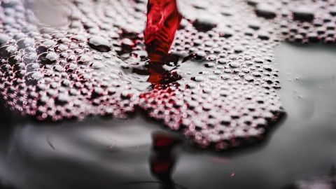 L’auberge zingaro's banner